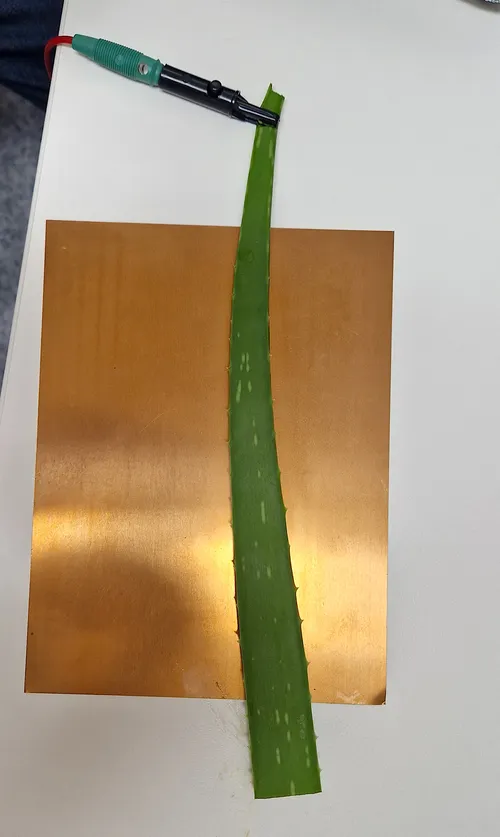 Energetic Corrector Beispiele für das Leuchten der Punkte bei Pflanzen 1