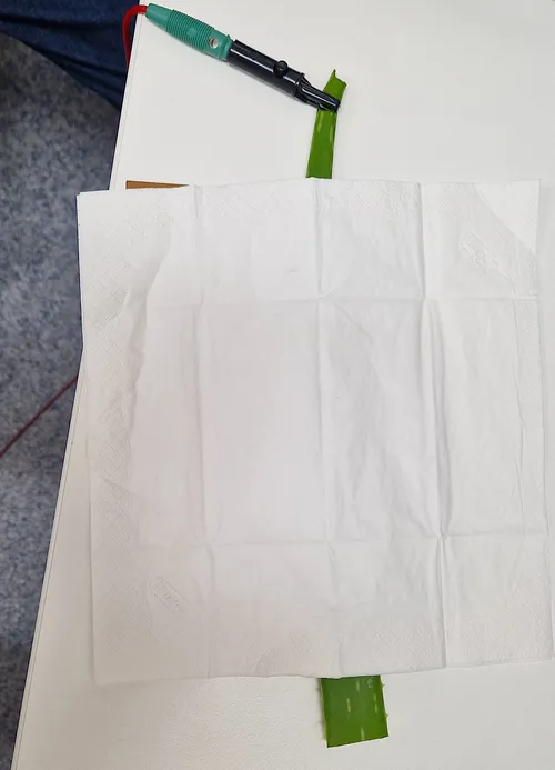 Energetic Corrector Beispiele für das Leuchten der Punkte bei Pflanzen 2